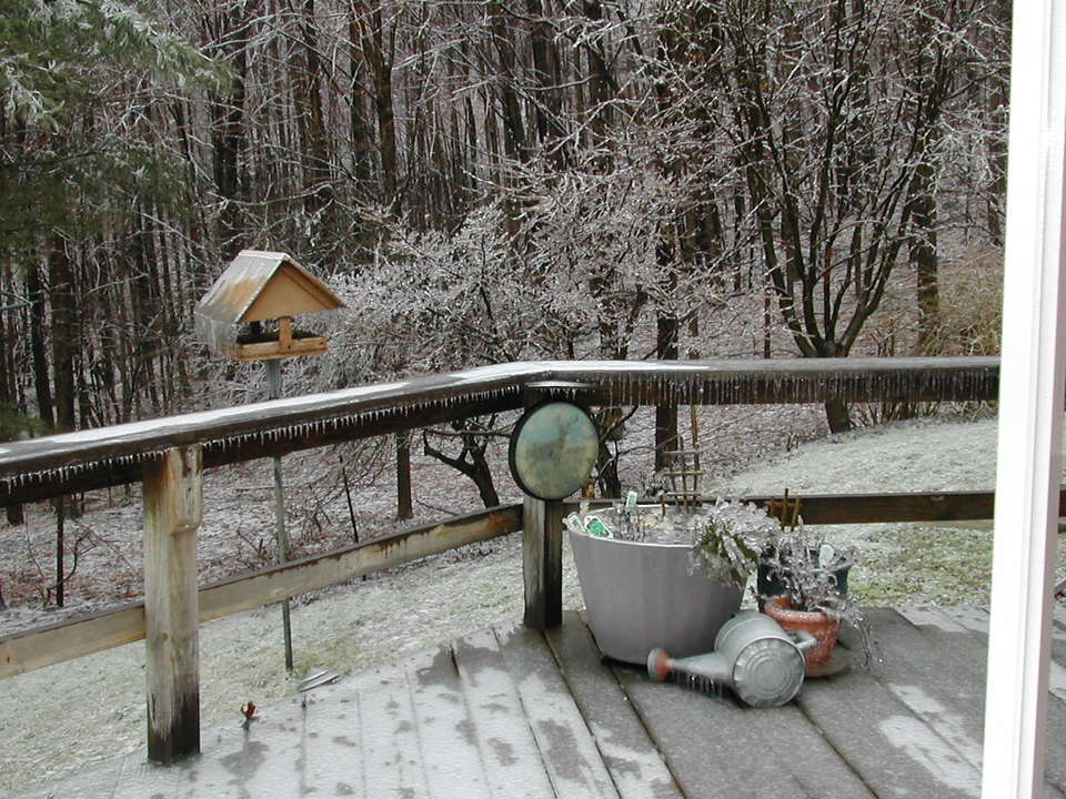 South Bristol, NY : Gardening in South Bristol, NY January 2007