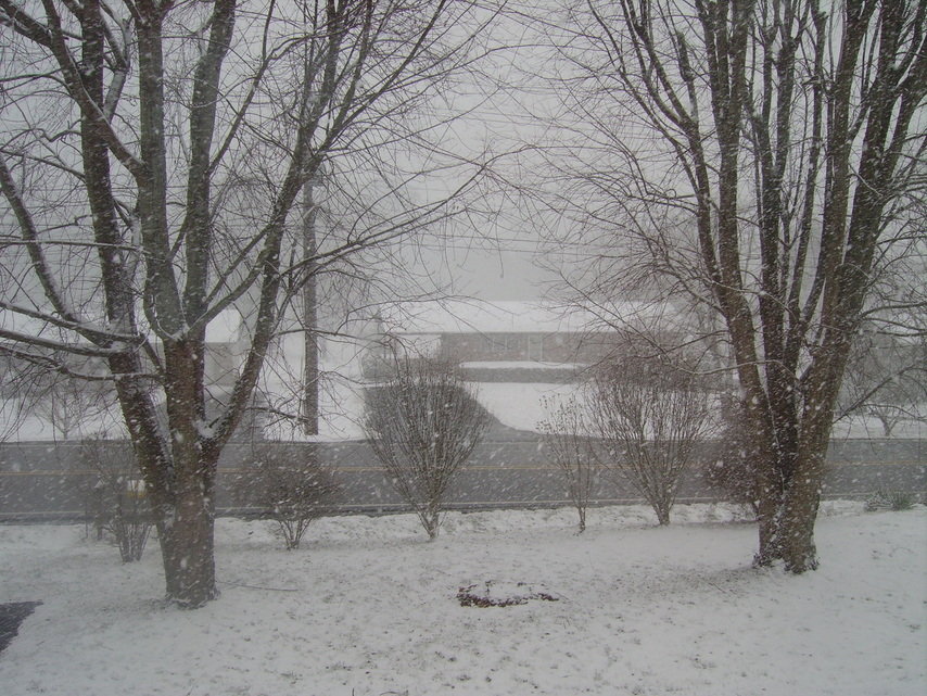 Kingsport, TN : Snow days