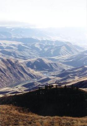 Cottonwood, ID : Near Cottonwood, Idaho