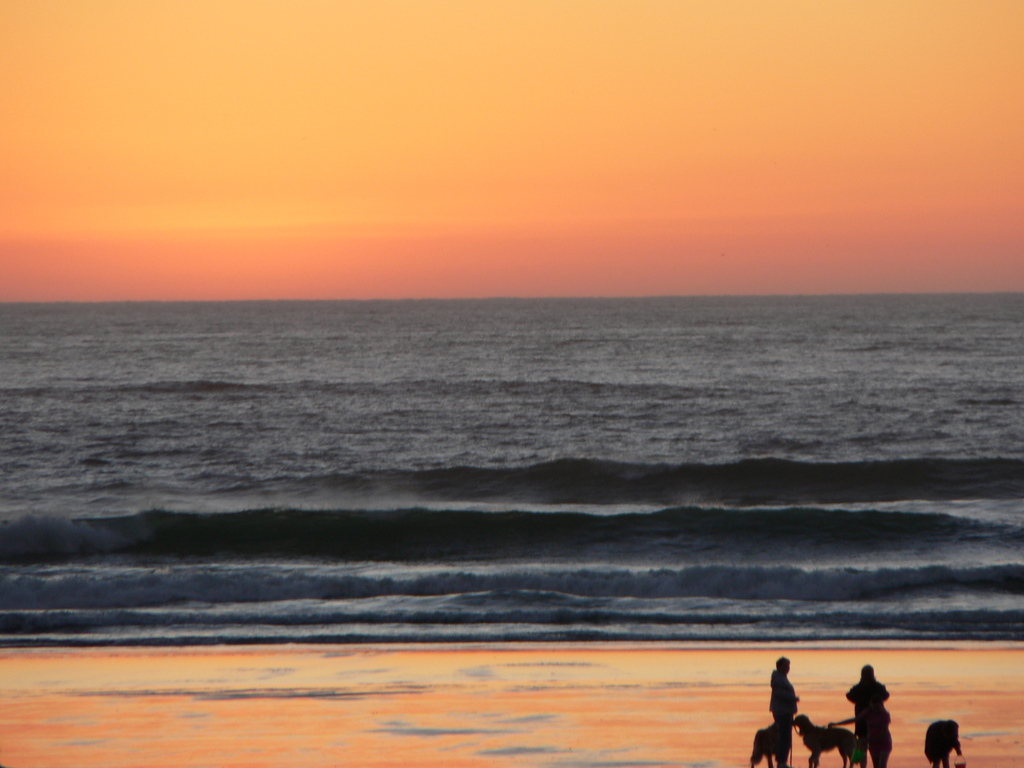 Cannon Beach, OR : a family enjoying sunset at the beach