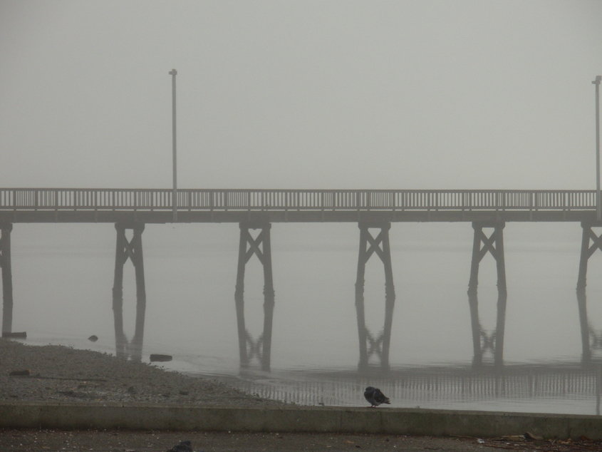 Silverdale, WA: foggy pier at silverdale waterfront park