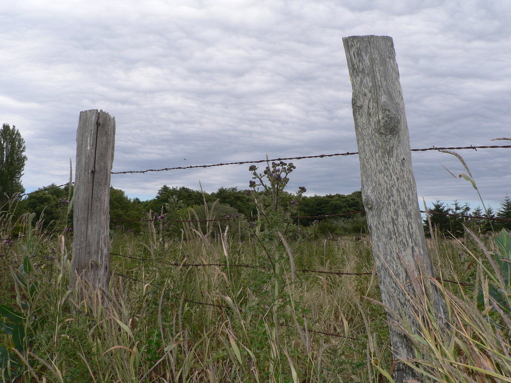 Sequim, WA: fence post