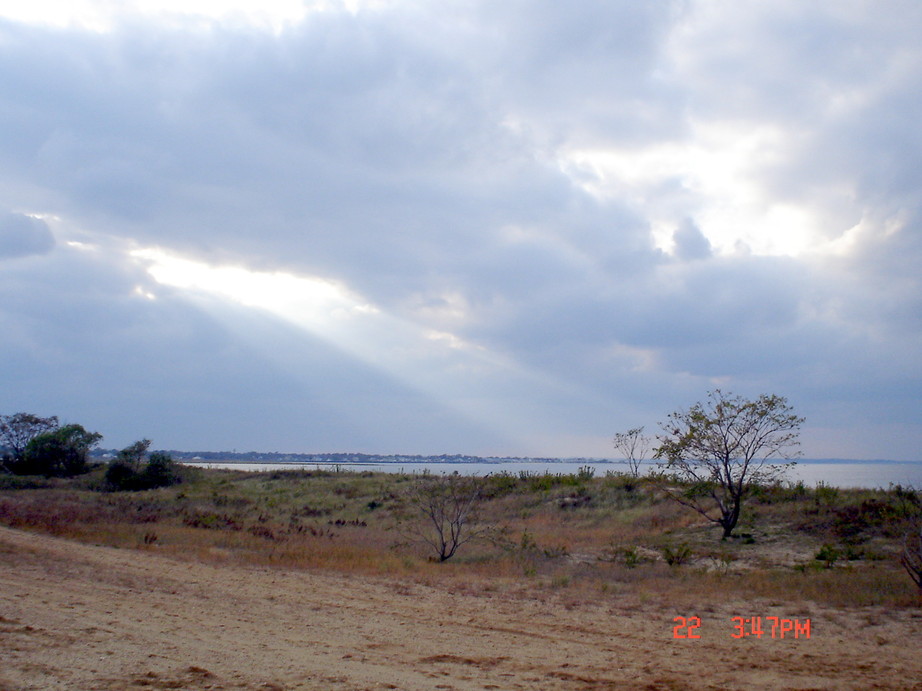 Keansburg, NJ : A picture from the bay walk,of a tree and the water