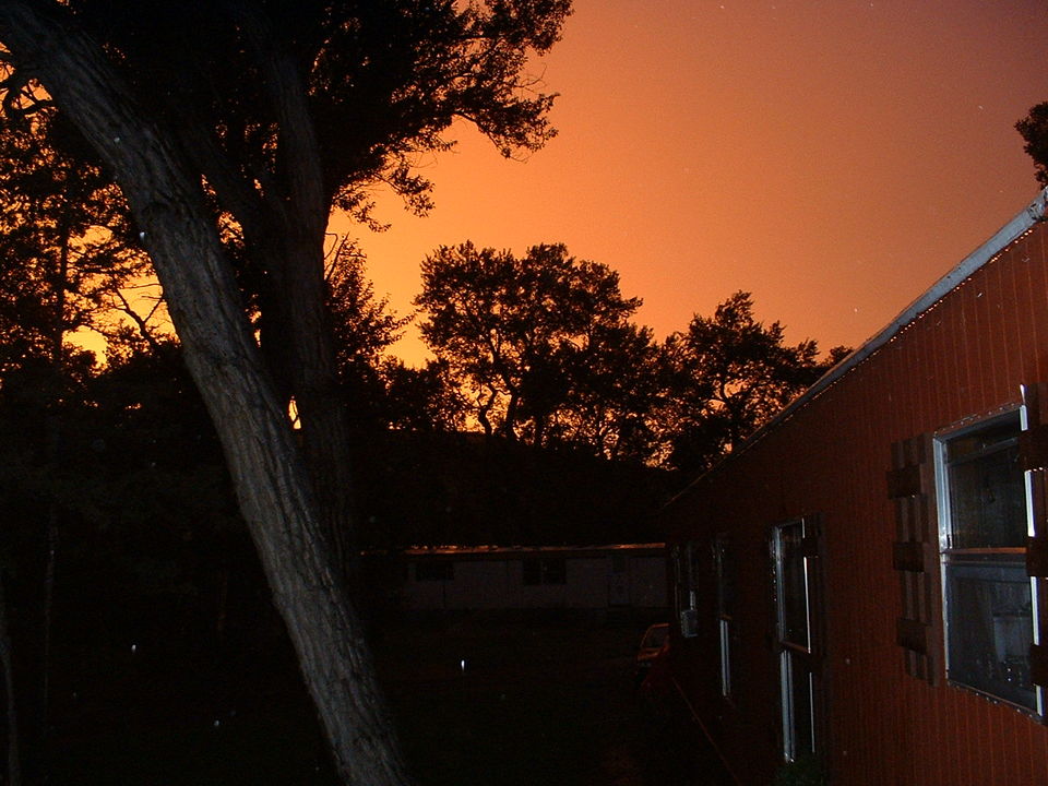 Big Timber, MT : sunset through the trees