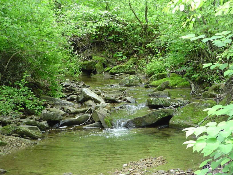 Jackson, KY: Troublesome Creek near Nix's Branch