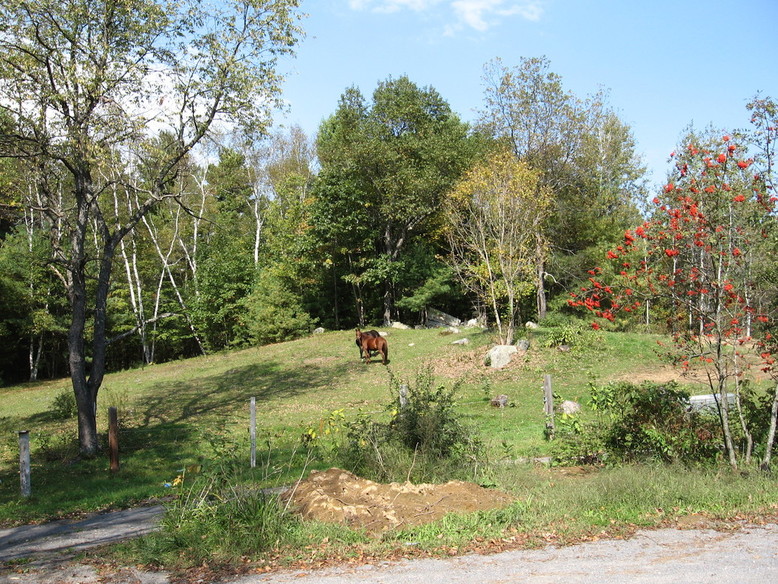 Lake Luzerne-Hadley, NY : RUN FREE