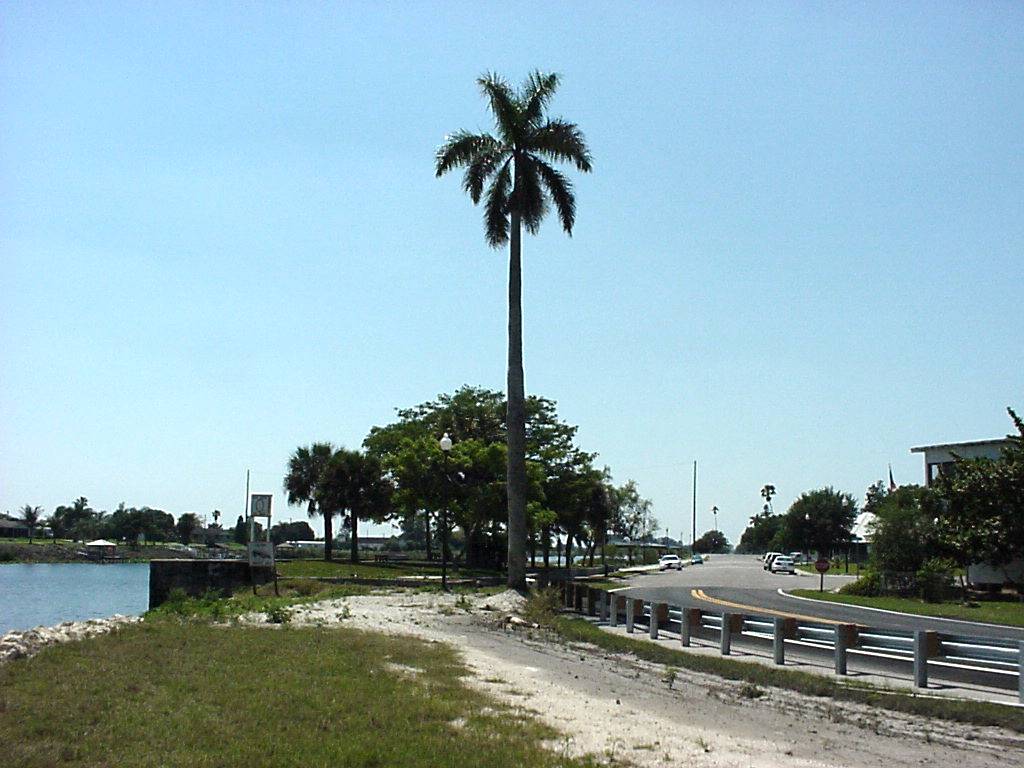 Moore Haven, FL: Park along the river