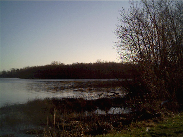 Bass Lake, IN : West side of Bass Lake