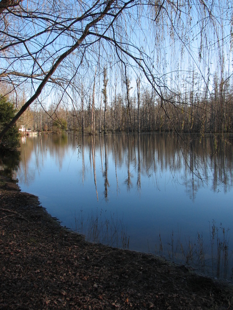 Florence, SC: Muldrows Mill Pond