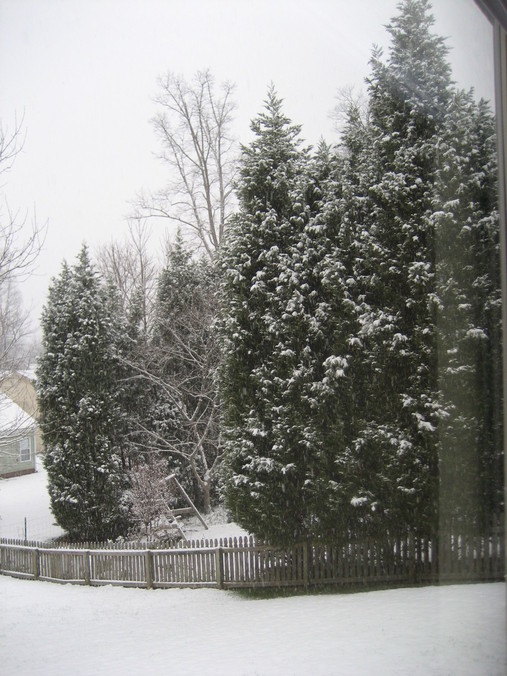Matthews, NC : Winter Window View