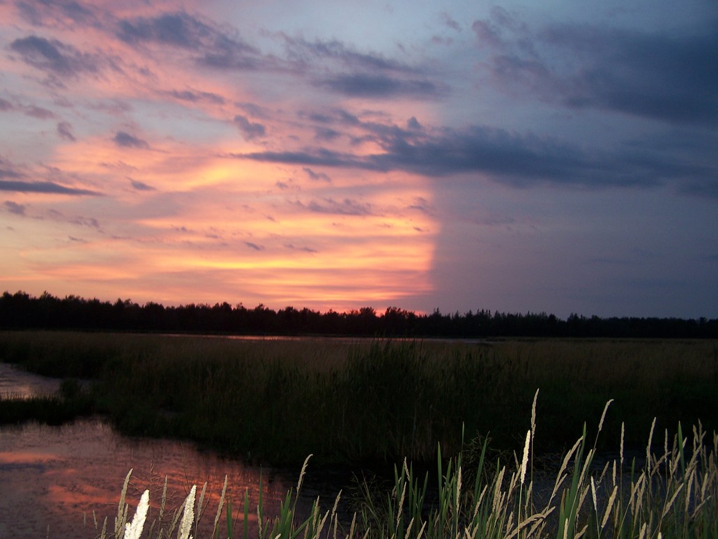 Antigo, WI : Beanas Wet Land Located on Range Line Rd. NW of Antigo