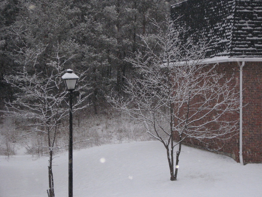 Johnson City, NY: Newly fallen snow