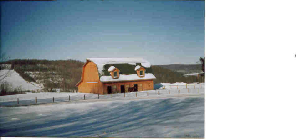 Rushford, NY : A Rushford Farm in Winter