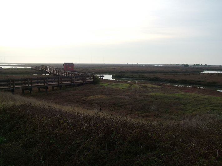 Fremont, CA : Don Edward Park, Fremont