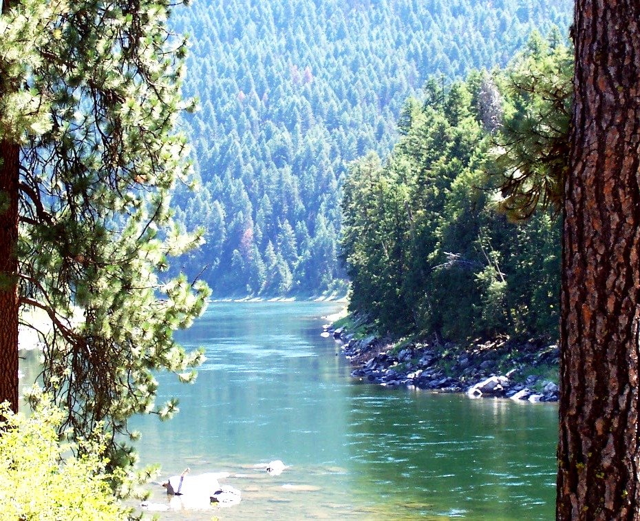 St. Regis, MT : Clark Fork River near Saint Regis, Montana photo