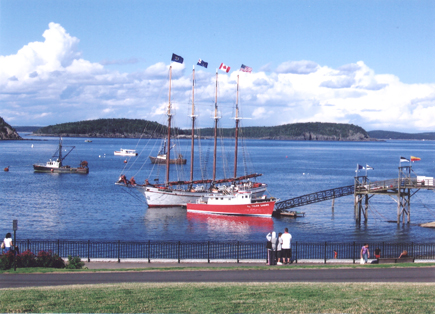 Bar Harbor, ME : Sailboats in Harbor, Bar Harbor