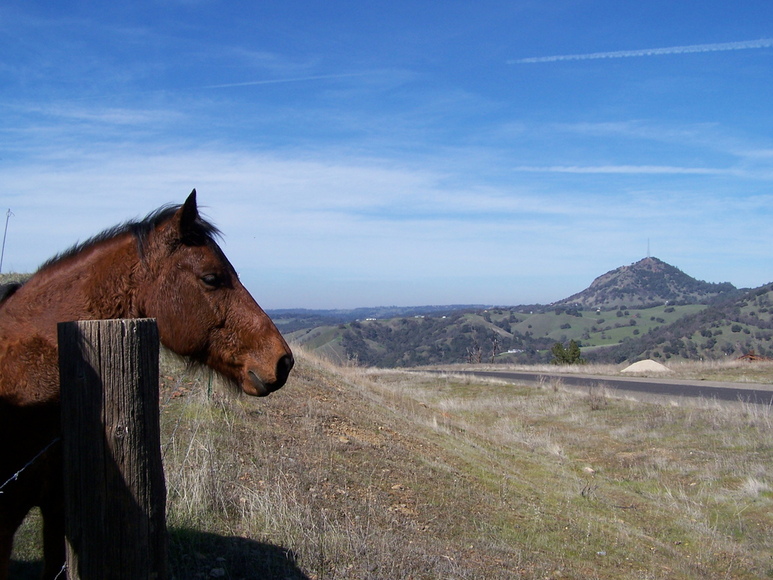 Mokelumne Hill, CA: View of Butte Mountain from Mokelumne Hill