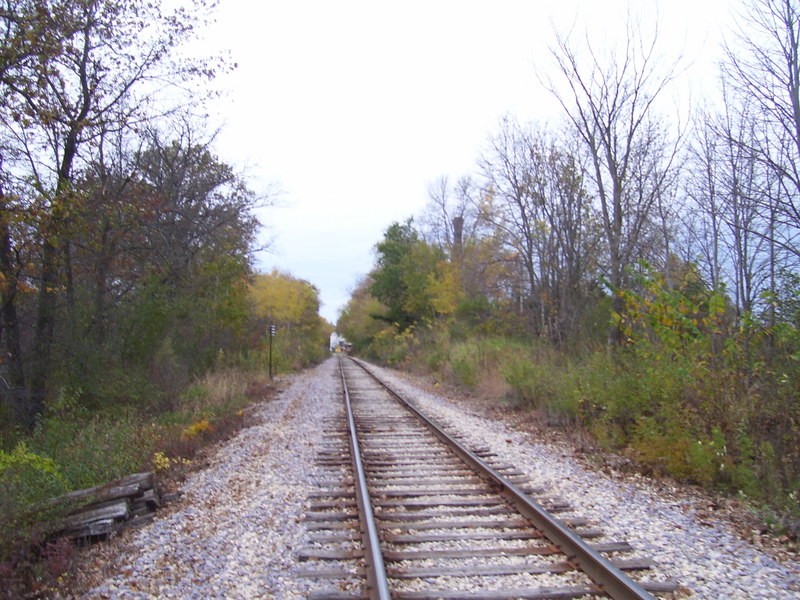 Fairwater, WI: Railroad that runs through Fairwater-Old Hemp Facotry smoke stack visible behind the trees