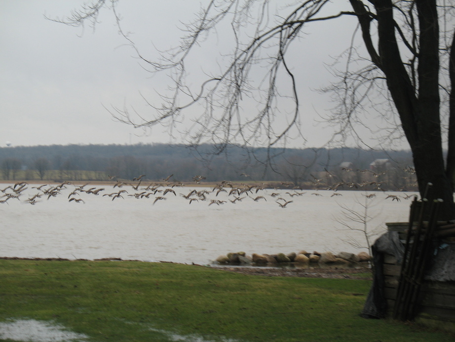 Chippewa Lake, OH: Chippewa Lake Ohio in winter 2007