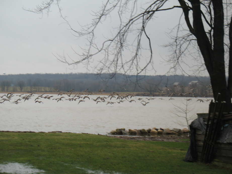 Chippewa Lake, OH : Chippewa Lake Ohio 