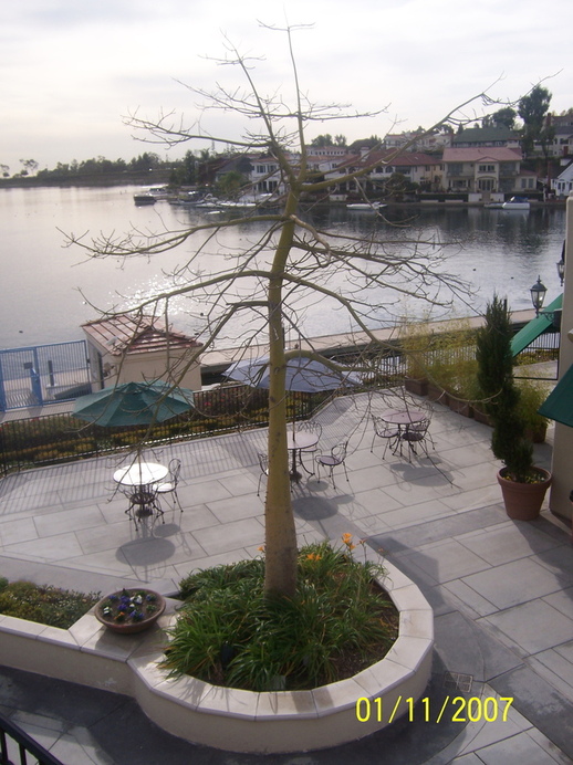 Mission Viejo, CA : the MV lake  in mission viejo ,california