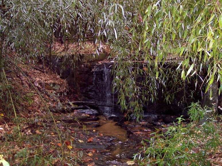 Reidsville, NC: This picture is of a small waterfall at Chinqua Penn in Reidsville, NC