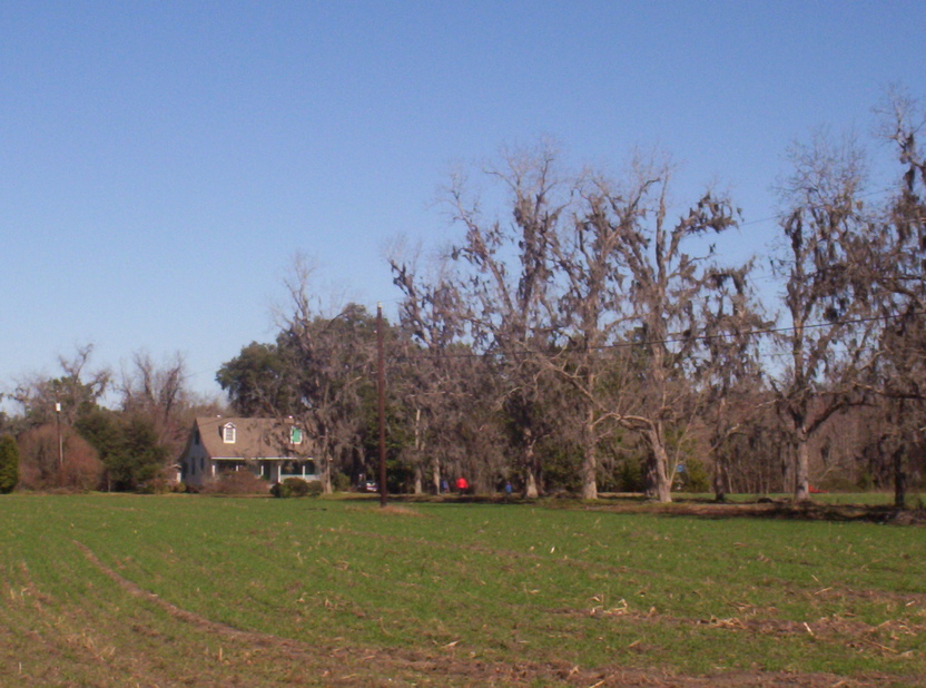 Port Wentworth, GA : Plantation Era Home photo, picture, image (Georgia