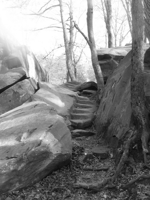 Elyria, OH : Rock Steps at Cascade Park