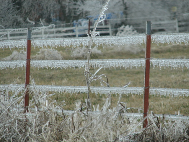Bentonville, AR: the Ice storm 2007