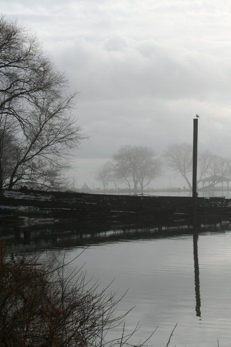 Croton-on-Hudson, NY : Senasqua fog