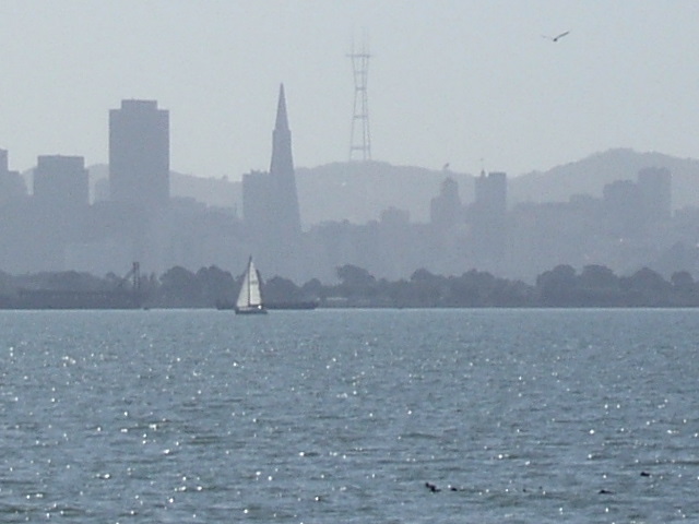 San Francisco, CA: San Francisco from Berkeley Marina