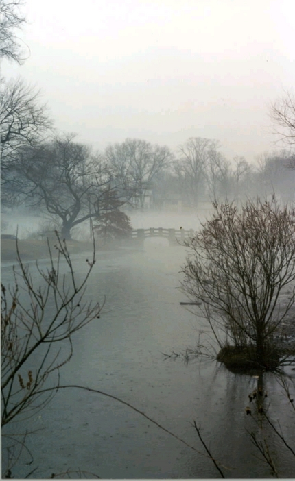 Collingswood, NJ : One foggy, snowy morning in Collingswood