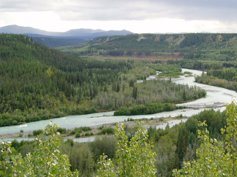 Copper Center, AK : Copper River Valley photo, picture, image (Alaska