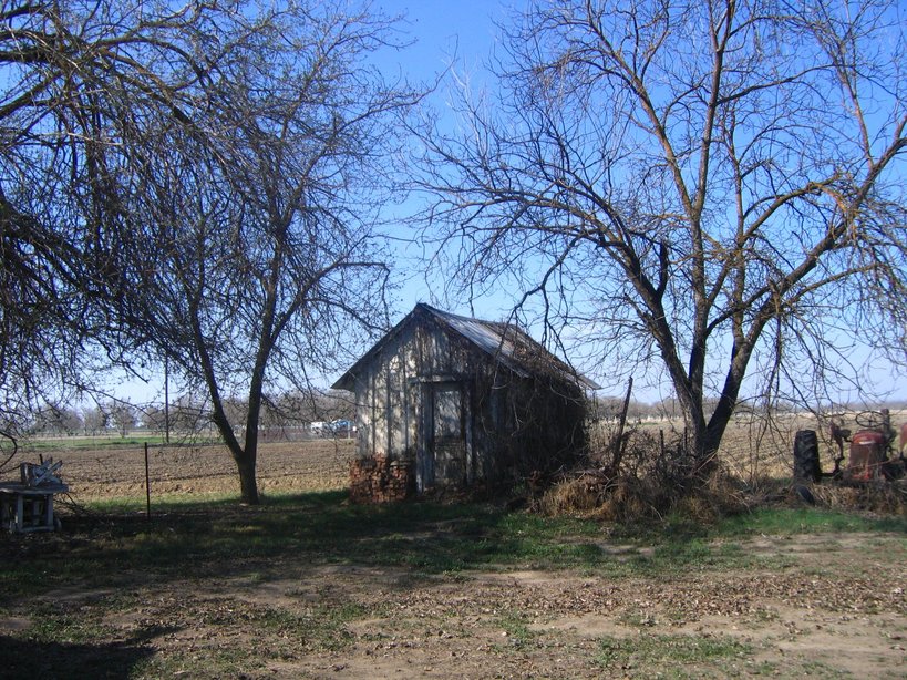 Armona, CA : Barn admist Armona's agricultural fields