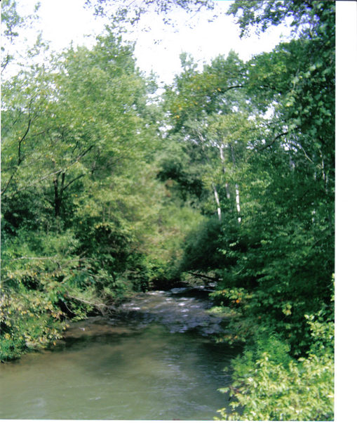 Limestone, NY Creek across from my parents house up Limestone Run