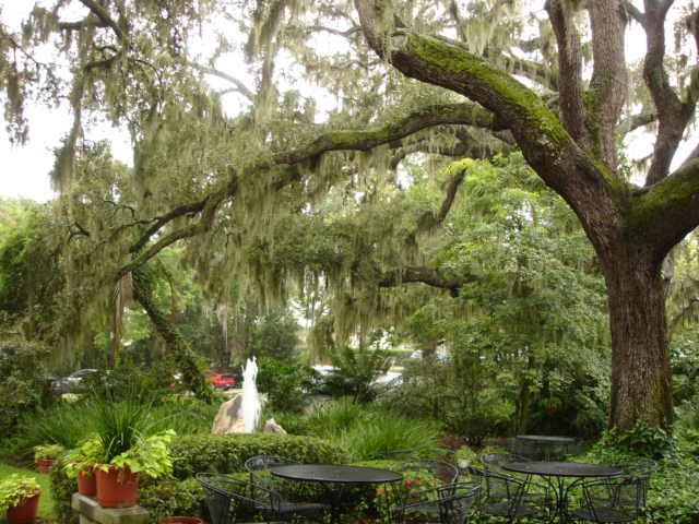 Maitland, FL: Enzian theater Winter Park FL the rain gently falls as I wait to see "Mirror Mask". User comment: Enzian theatre is in Maitland florida - WRONG CITY