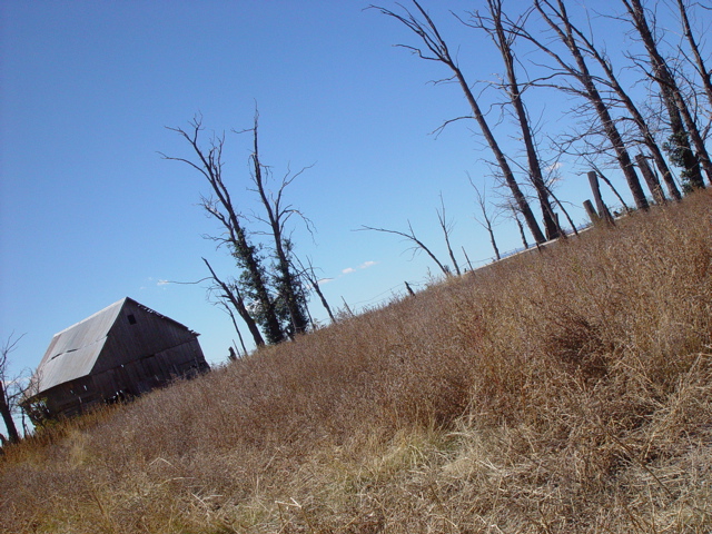 Estancia, NM : Abandoned house in Estancia.