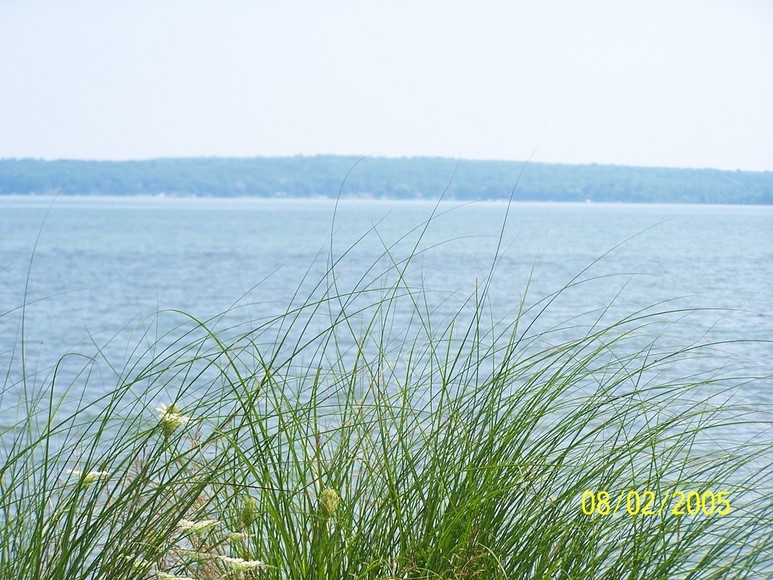 Hubbard Lake, MI View from the West Shore photo, picture, image