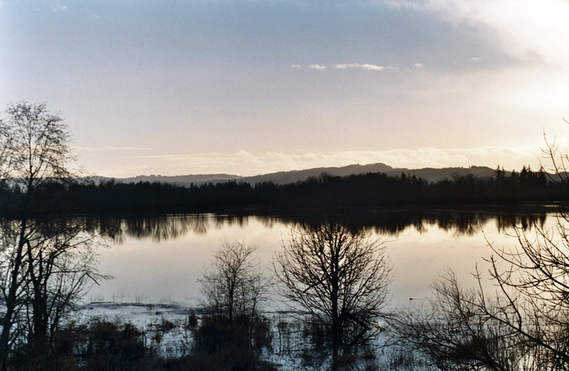 Hillsboro, OR: Jackson Bottom Wetland at sunset