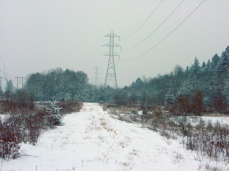 Beaverton, OR: Power line trail in the snow