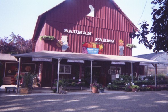 Gervais, OR : Bauman Farms