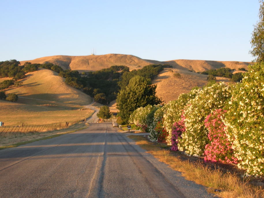 Morgan Hill, CA: Morgan Hill, CA hills in summer