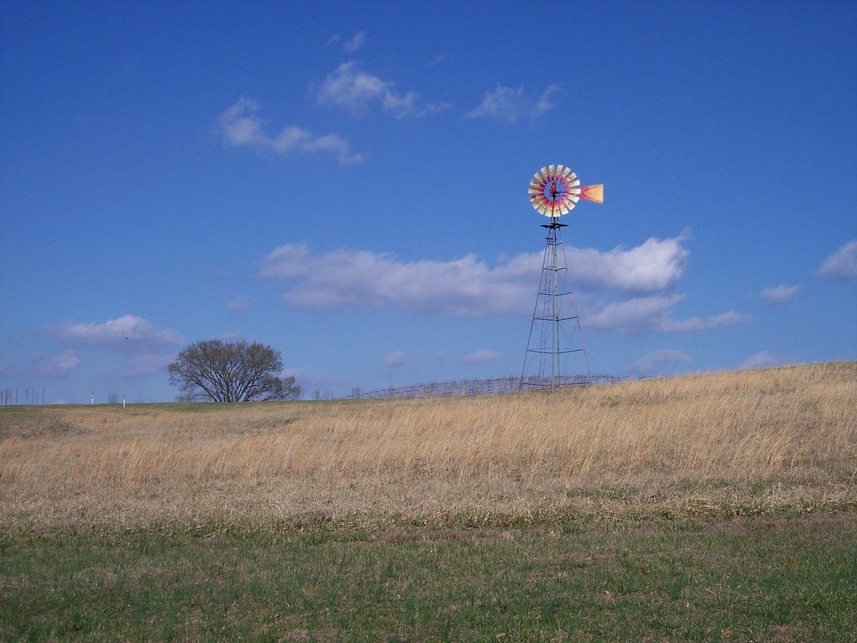 blue skies. BLUE SKY WINERY IN