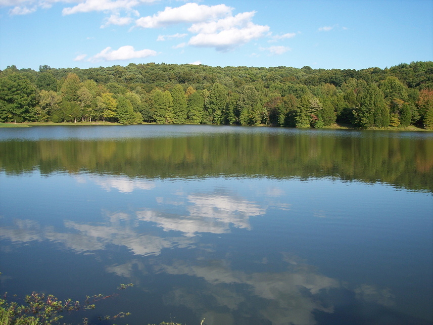 goreville-il-ferne-clyffe-state-park-in-goreville-il-photo-picture