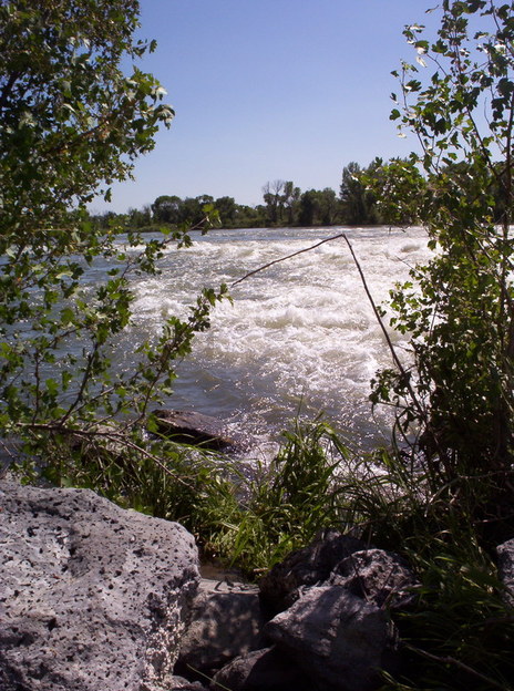 Firth, ID : The snake river in Firth Idaho