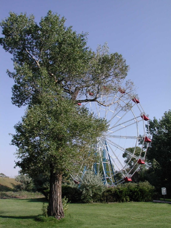 Buffalo, WY: This Ferris Wheel formerly graced the Utah State Fairgrounds