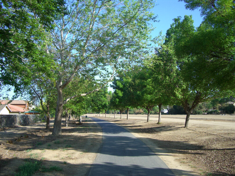 Los Banos, CA: Path on canal between Pioneer and Center - March 2007