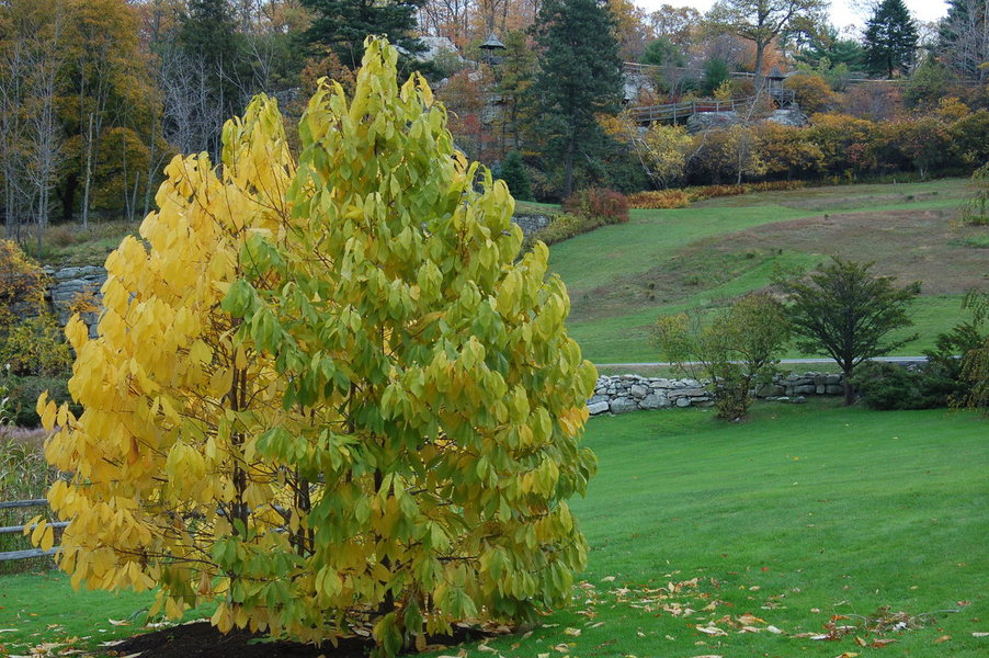 New Paltz, NY: Fall Foliage in Mohonk Mountain