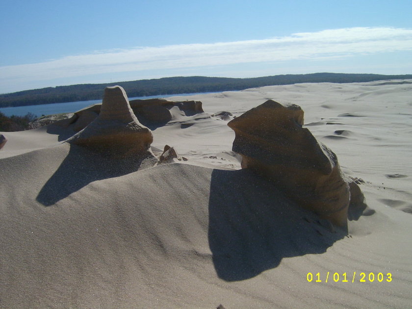 Ludington, MI : sand dunes