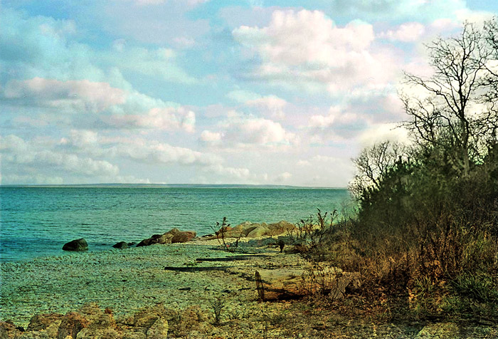 East Hampton, NY : Landscape.East Hampton.NY
